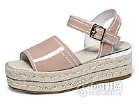 �����ݿ�2016�¿�¶ֺ������������Ь