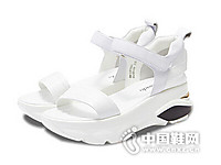 ������2016���¿�ҡҡ��ħ����������Ь