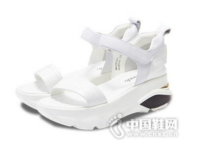 ������2016���¿�ҡҡ��ħ����������Ь