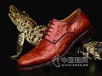 IESSEXE2016�¿��ﶬ��ŮЬ