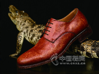 IESSEXE2016�¿��ﶬ��ŮЬ