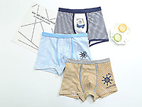 ���꼶2017�¿��Ʒ