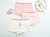 ���꼶2017�¿��Ʒ