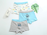 ���꼶2017�¿��Ʒ