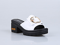 2018��ŷĦ��Ů�¸������¿�