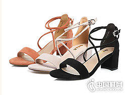 ������Ь2018����ר�������һ�ִ�