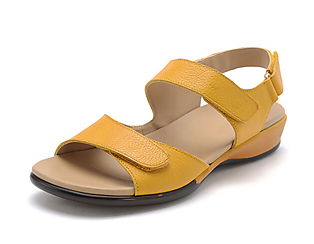 �������Ь2018�¿�������Ь