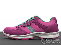 MANGROVE�����2018�¿�ͽ��Ь