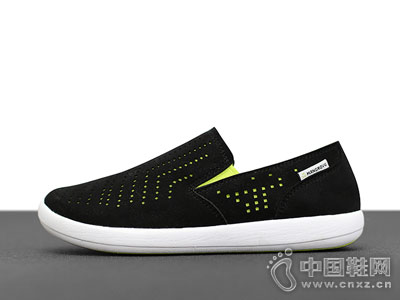 MANGROVE�����2018�¿�ͽ��Ь