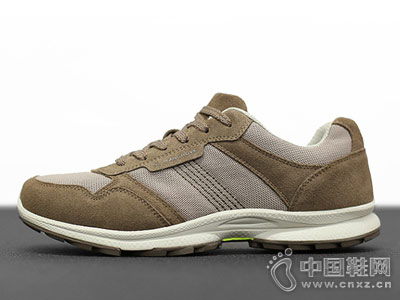 MANGROVE�����2018�¿�ͽ��Ь