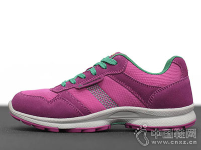 MANGROVE�����2018�¿�ͽ��Ь