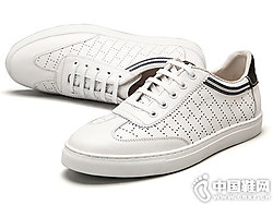 Ƥ������2019�¿�ϵ������ο�ƤЬ