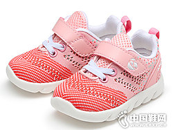 ��������2019��������ѧ��Ь�¿�