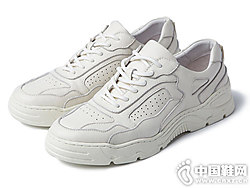 2019�����¿������ſ���Ƥ�ϵ�Ь