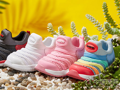 ëë��Ь������2019�����¿�