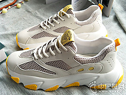 ������Ь�ϵ�Ь�˶�Ь2019�ļ��¿�