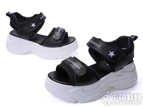 2019���¿���Ƥ����������Ь