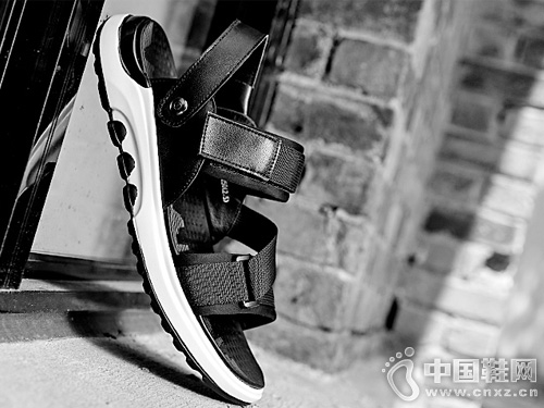 ������Ь���������պ�ϵѧ����Ь