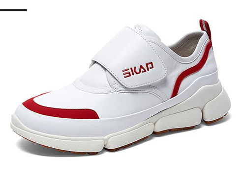 SKAPʥ٤��2019�ﶬ�¿��˶������ϵ�Ь