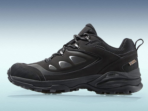 Nikko�ո�V�׵�ɽЬ��ʿ��������Ь