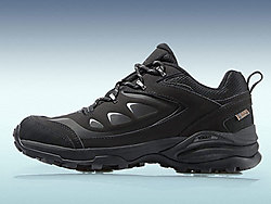 Nikko�ո�V�׵�ɽЬ��ʿ��������Ь