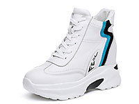 ʥ����-2019�ﶬ�¿���������߸߰�Ь