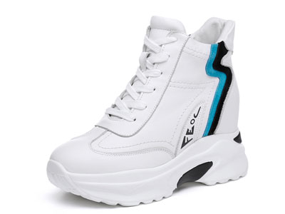 ʥ����-2019�ﶬ�¿���������߸߰�Ь