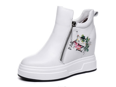 ʥ����-2019�ﶬ�¿����������Ь