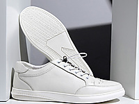 �ް���Ь2019�＾�¿���ƤС��Ь