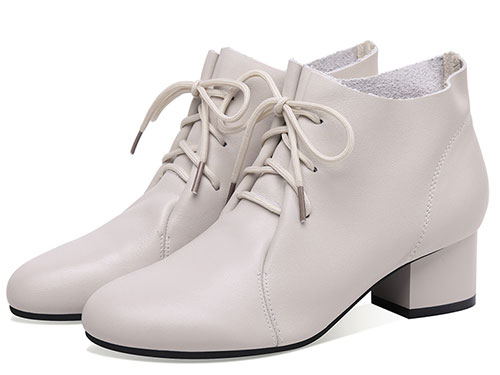 ��������2019�ﶬ�¿��и������ѥ