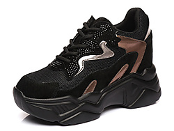 ʥ���� 2019�ﶬ���¿�ź���ɸ��ϵ�Ь