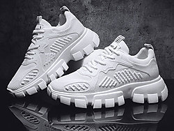 �¿���2019�¿����Ь�����˶����泱��