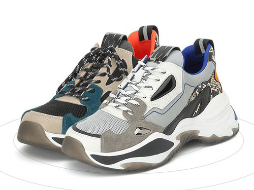 ����2019���¿��˶������ϵ�Ь