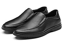 ɭ��2020�����¿��Լ����