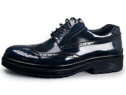 FerrDoFish�ɶ���������Ь��ЬӢ������ƤЬ��