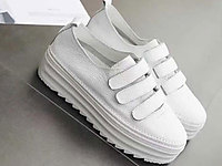 ����ŮЬ2020�곱�������¿�������