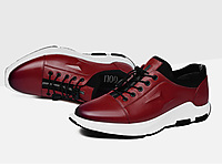 �¿��ȶ���ƤӢ���˶�ƤЬ��Ь�ٴ���Ь