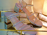 Ħ������2021ŮЬ������������