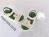 ������ͯЬ2021�ļ��¿�����