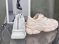 ������ŮЬ2021�ﶬ�¿�����