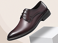 �¿���Ь2021�ﶬ����Ʒչʾ