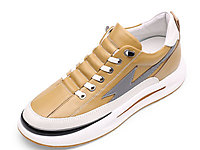 �ν��������������Ь2022���¿���Ƥ�������Ь