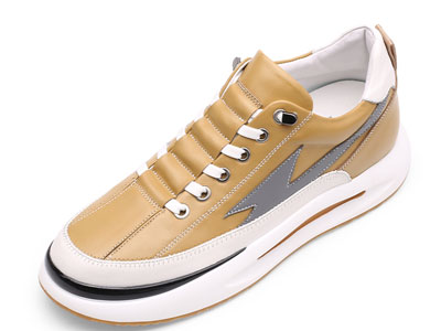 �ν��������������Ь2022���¿���Ƥ�������Ь