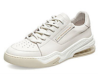 SKAPʥ٤��2021�＾�¿�������Ь��������˶�����