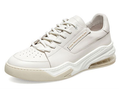 SKAPʥ٤��2021�＾�¿�������Ь��������˶�����