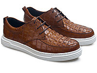 FerrDoFish�ɶ�����ʿ����Ь��Ь������Ƥ��Ь����Ƥ��ƤЬ