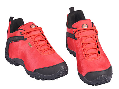 ����־�����ɽЬ͸���˶�Ь����Ƥ������ĥЬ��ɽЬͽ��ЬŮ�ļ�