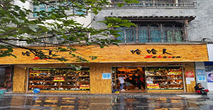 ����������ר����