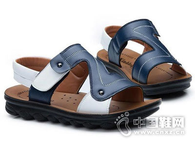 �ԹԹ�ͯЬ��2016ȫ��������